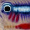 Thumbnail: Neon Tetra