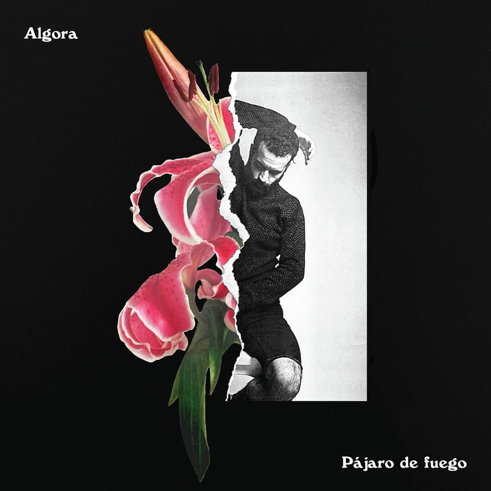 Pájaro de fuego. Portada para Algora