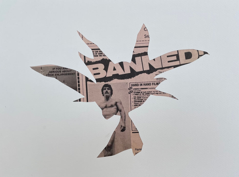 Peonía. De la serie “Botanicum”. Collage analógico (papel, revista "The Advocate Classifieds", 1985).