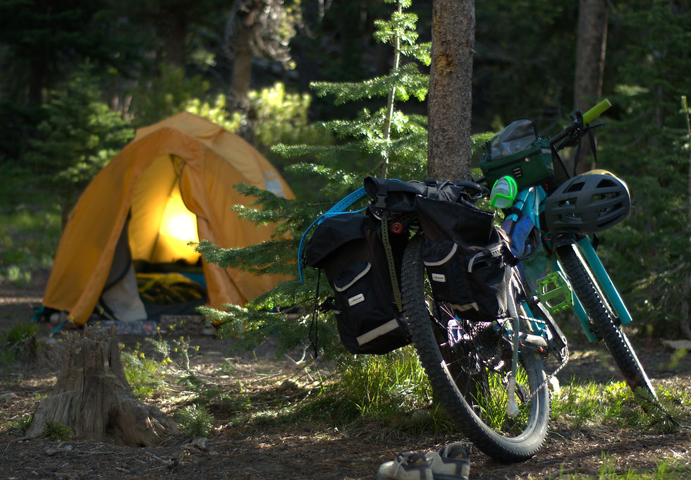 A bikepacking bike leaned against a tree with a yellow tent in the background.