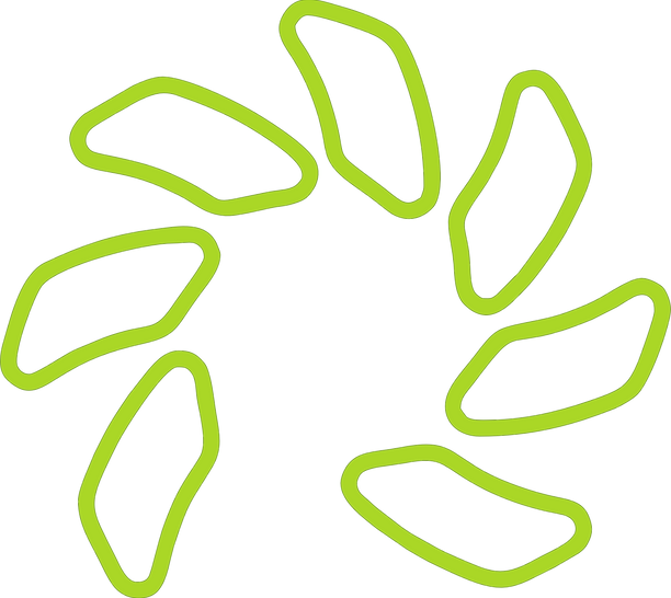 LOGO SAMEJ VERDE