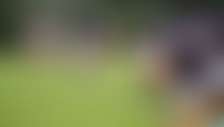 【菅平合宿 DAY11】