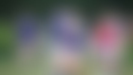 【菅平合宿 DAY10】