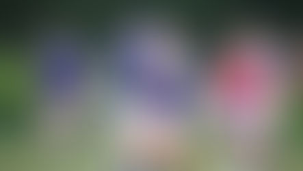 【菅平合宿 DAY10】