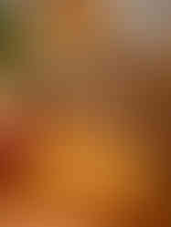 fotos-niver-giovana-335