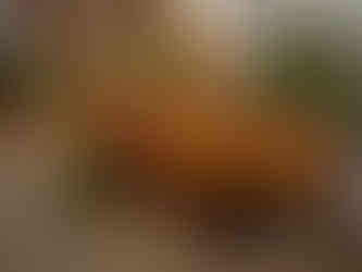 fotos-niver-giovana-340