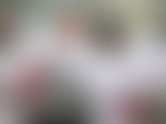 Flexibility in Taekwondo