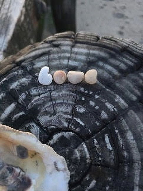 stone with pebbles_edited_edited.jpg