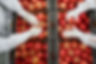 AdobeStock_373170060.jpeg