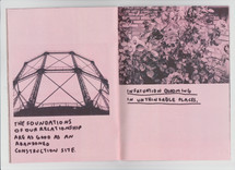 THE PINK ISSUE - 8.jpeg