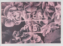 THE PINK ISSUE - 7.jpeg