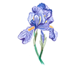 You Can Heal Your Grief Iris Full Color.png