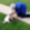 Petey-600x600.jpg