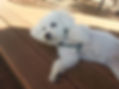 20150401_170211.jpg