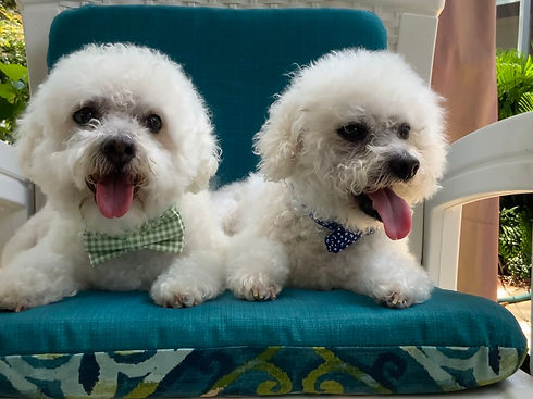 Gus and Baxter.jpeg