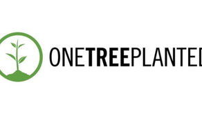 August Organization: One Tree Planted