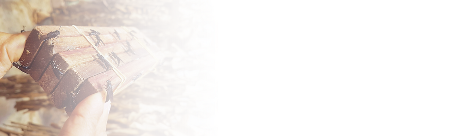 Screenshot 2022-06-28 at 15.39.33.png