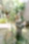 You Zen Spa em Atibaia, Sergio Rica 2022_002.jpg