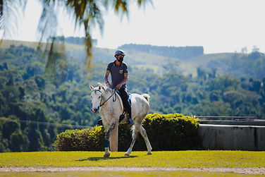 cavalo de enduro2.jpeg
