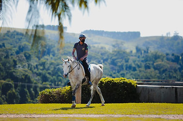 cavalo de enduro2.jpeg