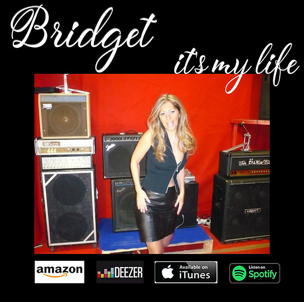 bridget Amazon its my life.jpg