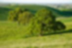 green hills