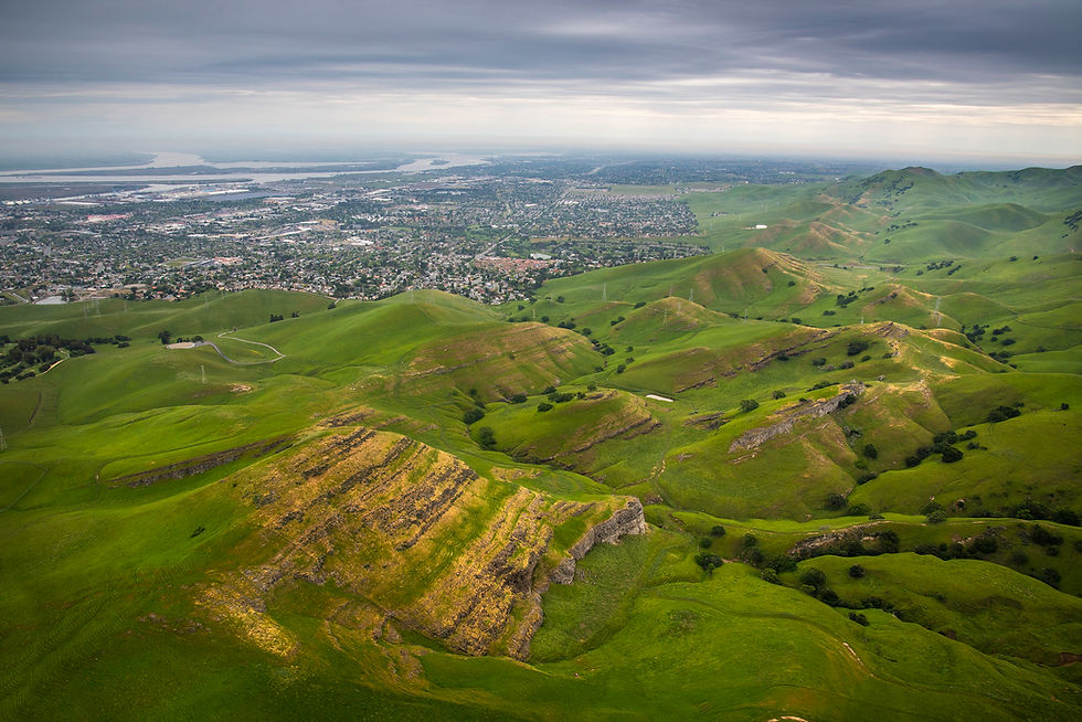 green hills near homes