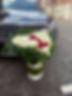 IMG_4576.jpeg