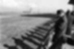Jägersro 1971 image115