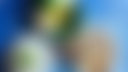 Mam Tom/Mam Ruot Sauce by Diem Tran