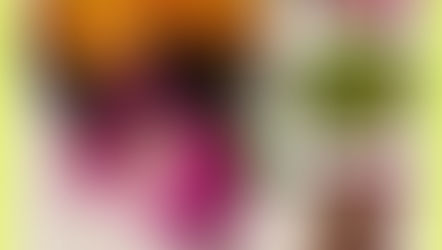 Aniki's Sushi Restaurant - Fremont, CA