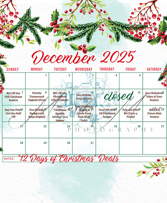 December Schedule Flyer (1).jpg