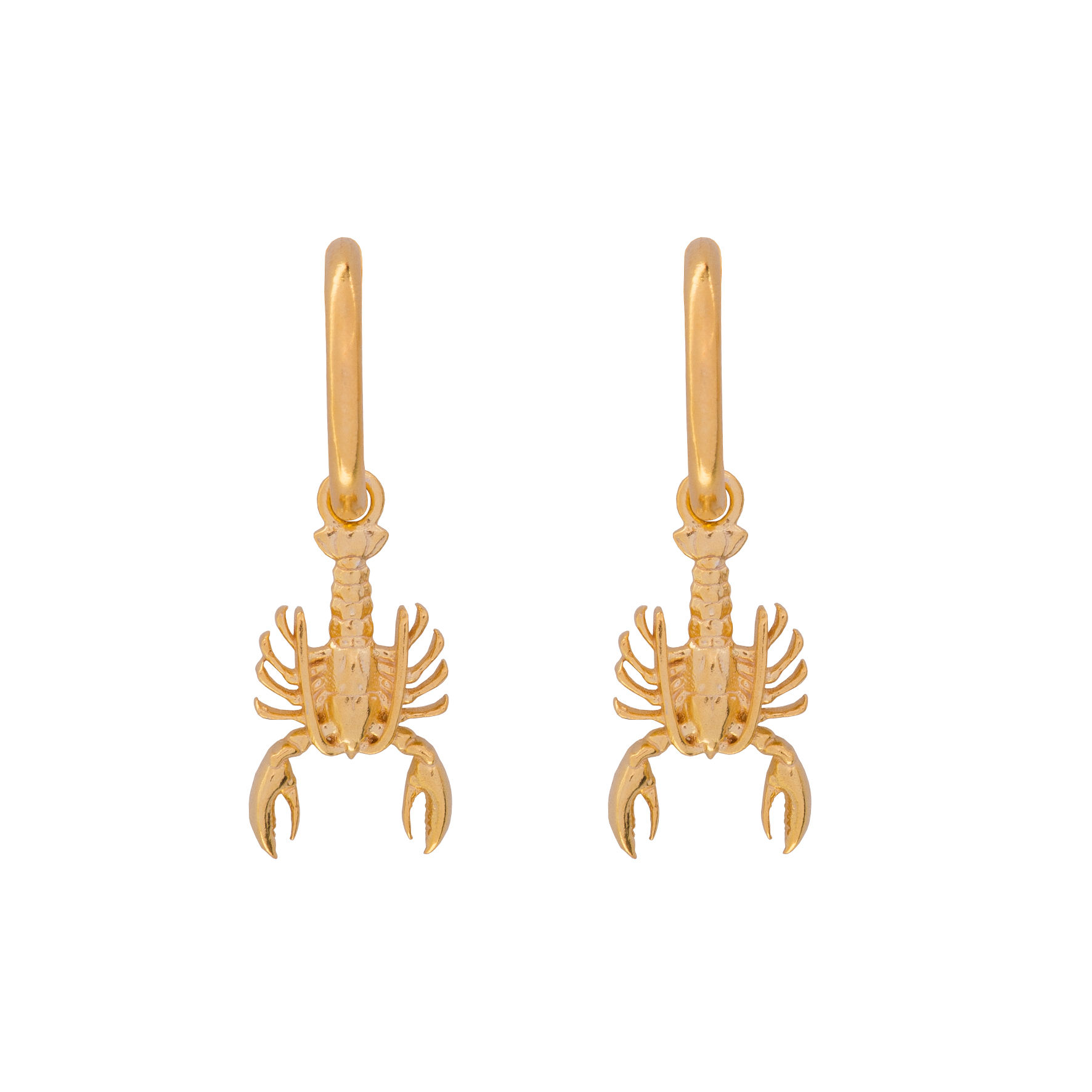 Lobster on hoop earrings