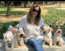 Mujer sonriente con cuatro perros Schnauzer sentada en un banco de parque.