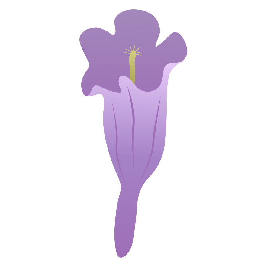jacaranda_flower.png