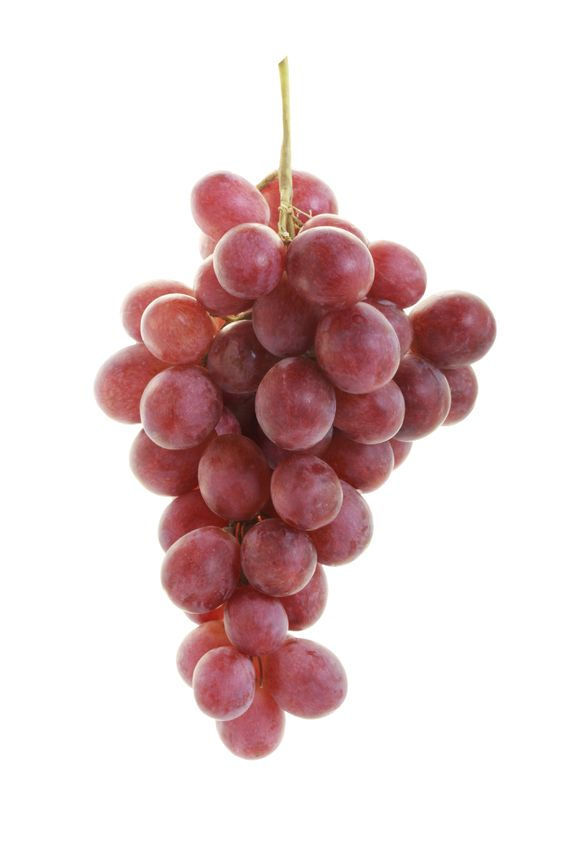 vinho uva vitis rupestris