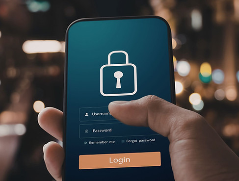 travel security app.jpg