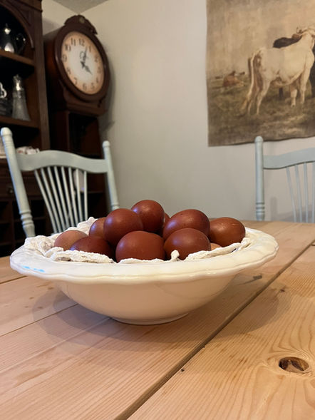 Black Copper Marans Eggs