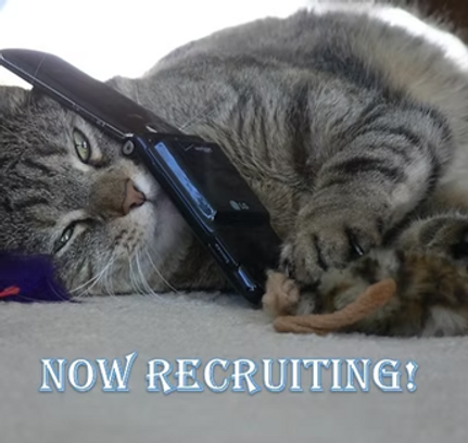 Now Recruiting.png