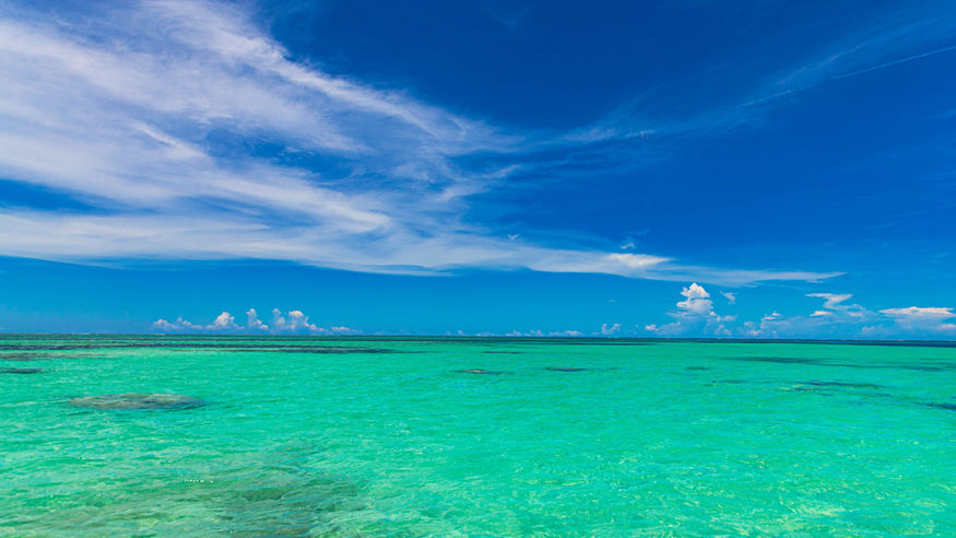 the never ending skies, and the blue coral water meets at the luxurious Island Pongwe resort, where the lovers indulging in the immersive reality, make a unique experience.