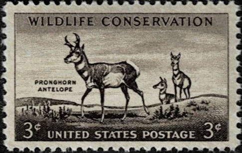 1956 United States Scott Catalog Number 1078 MNH