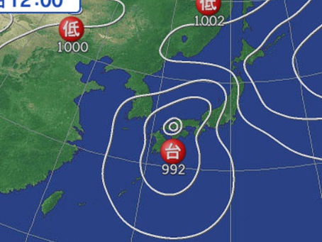 台風一過‼