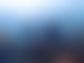 体験ダイビング🤿初島🦪