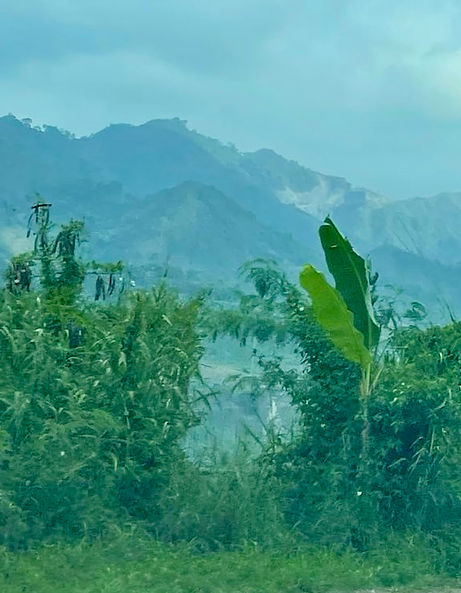 Kopie von IMG_3037.jpg