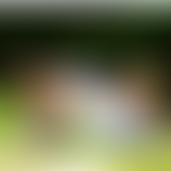 What's This Word... REST?