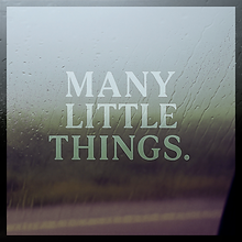 MANY LITTLE THINGS..png