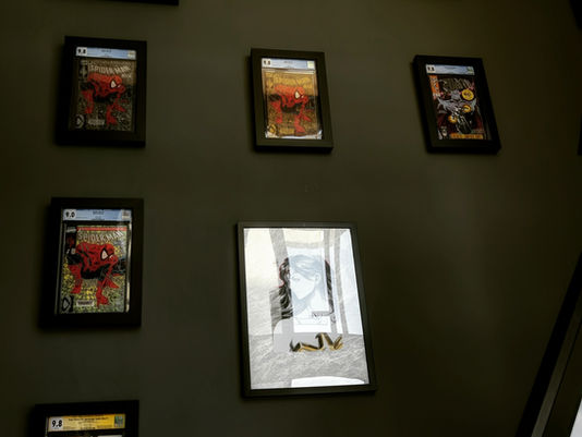 CGC Graded and Un-Graded comics, and Artwork Framed by ECC Frames