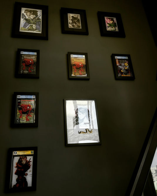CGC Graded and Un-Graded comics, and Artwork Framed by ECC Frames