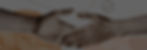 shutterstock_2377361337_edited_edited_edited.jpg