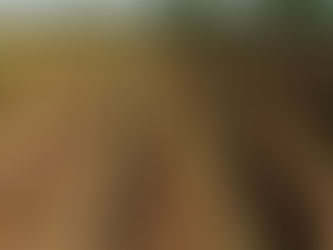 From Field to Future: Why August Matters for Alaska’s Food Security